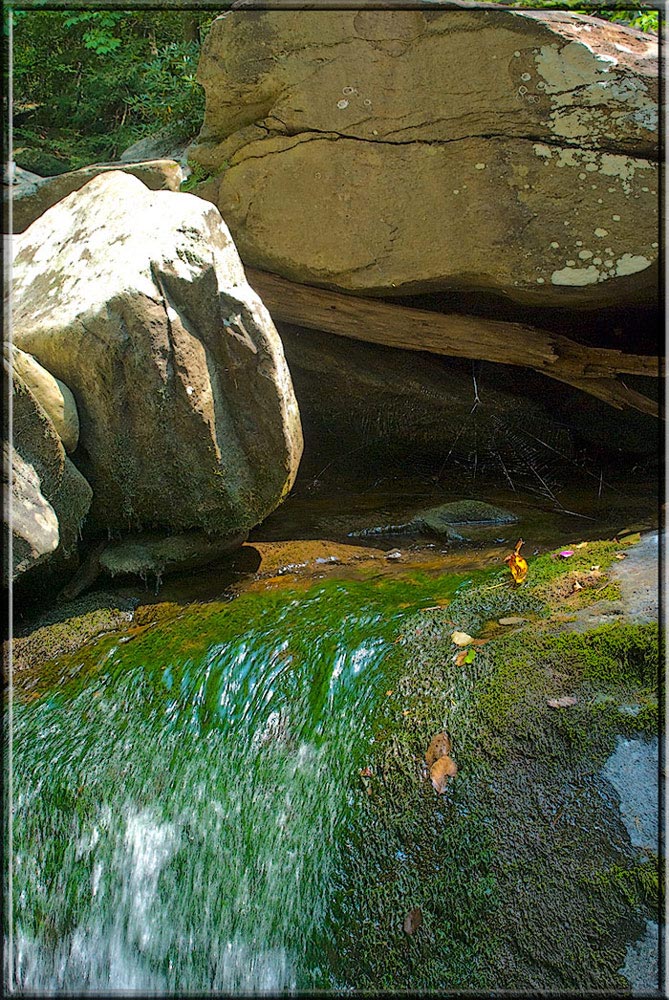 photo "Creek in Tennessee" tags: landscape, mountains, water