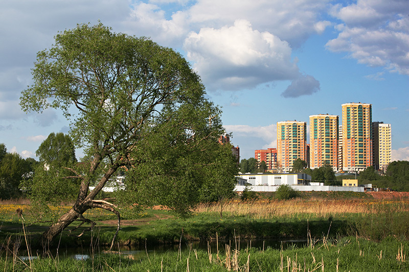 photo "***" tags: landscape, summer