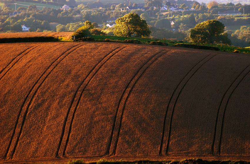 photo "Downpatrick Hills" tags: landscape, 