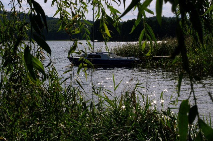 photo "***" tags: landscape, summer, water