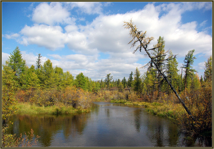 photo "***" tags: landscape, autumn, summer