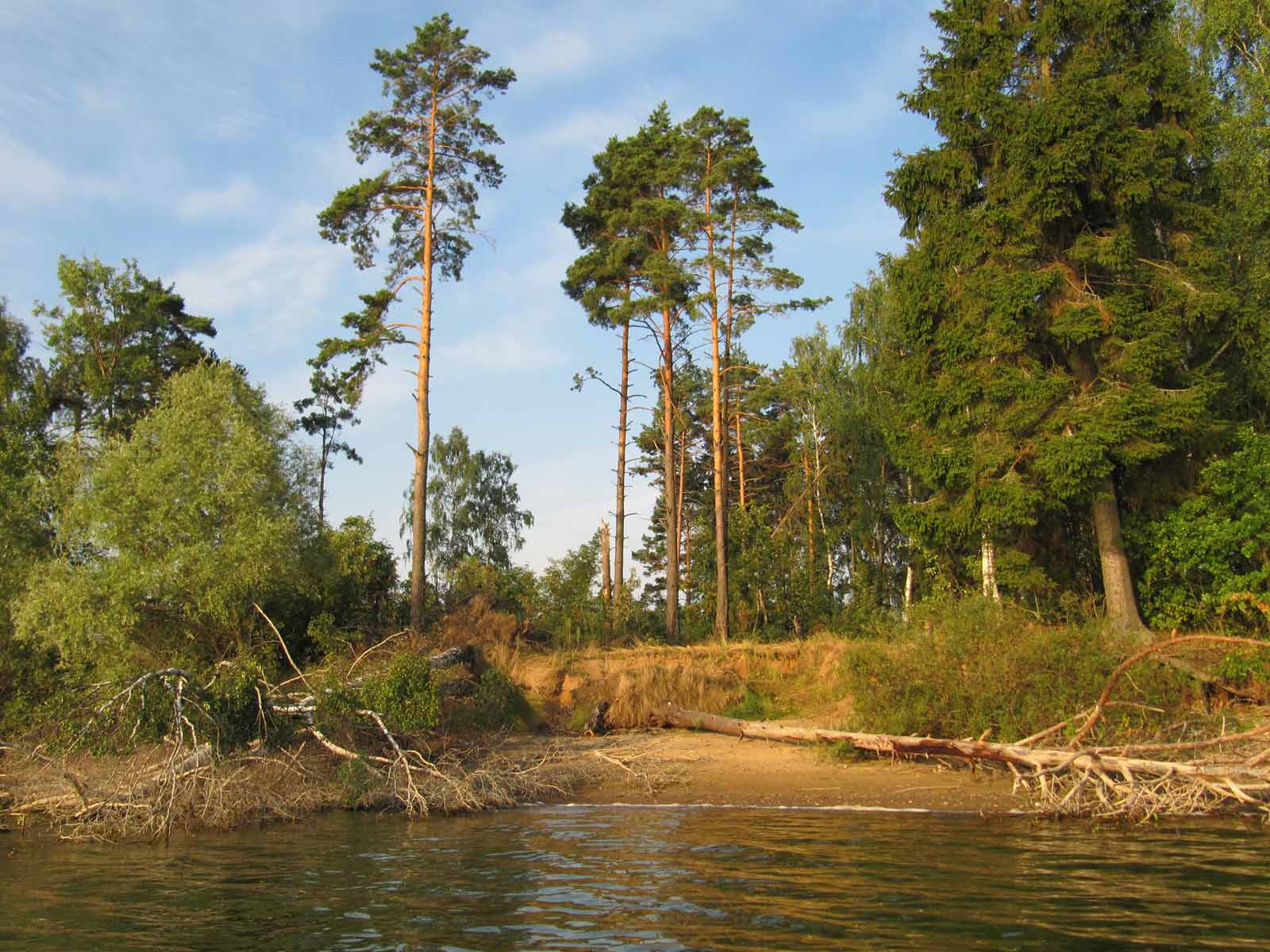 фото "На Озернинском водохранилище Московской области" метки: пейзаж, вода, лес