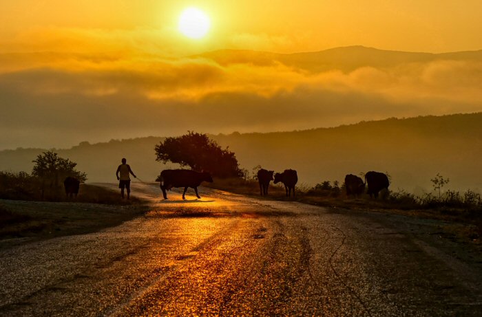 photo "Dawn over the valley Baydarskaya or the Lonely shepherd" tags: landscape, summer, sunset