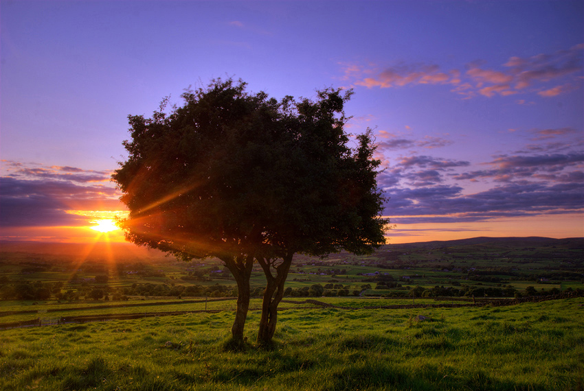 photo "Slemish Hills" tags: landscape, 