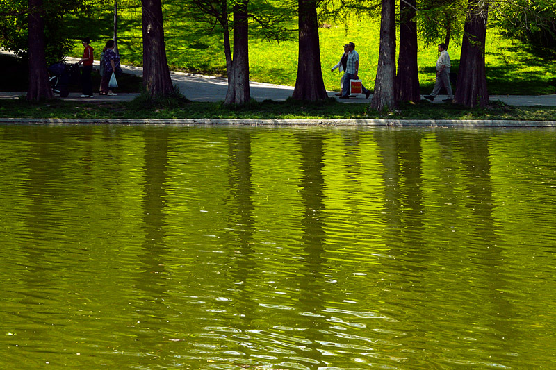 photo "Spring watercolor" tags: landscape, spring, water