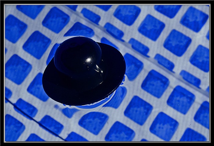 photo "Floater" tags: still life, abstract, 