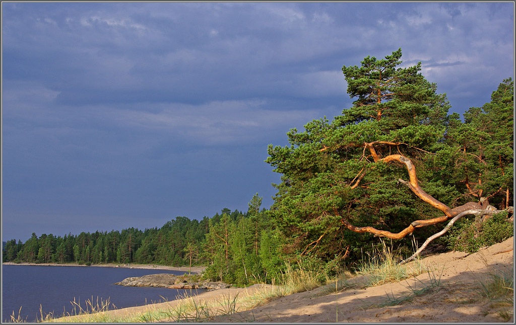 photo "Morning on the island Kayonsaari" tags: landscape, summer, water