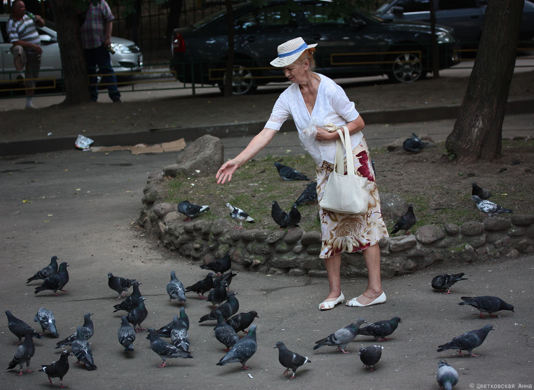 photo "***" tags: genre, street, bird, woman