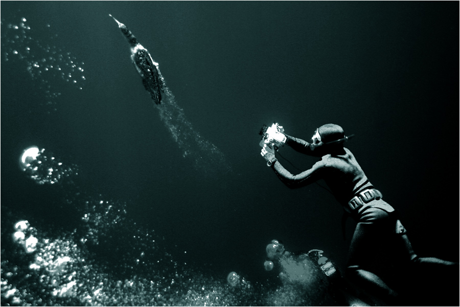 фото "Охотники" метки: подводные, путешествия, Африка