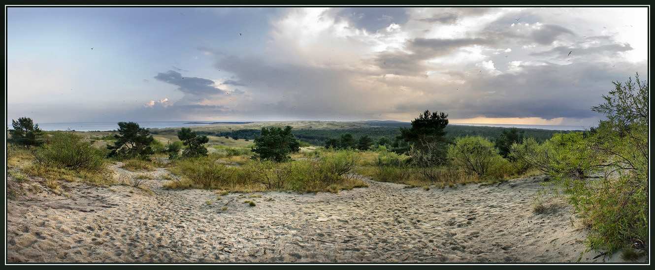 photo "The Curonian Spit" tags: panoramic, 