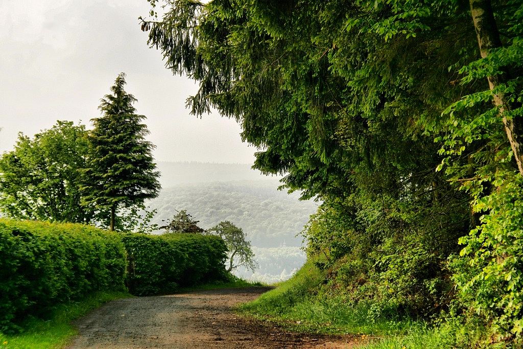 photo "***" tags: landscape, travel, Europe, forest