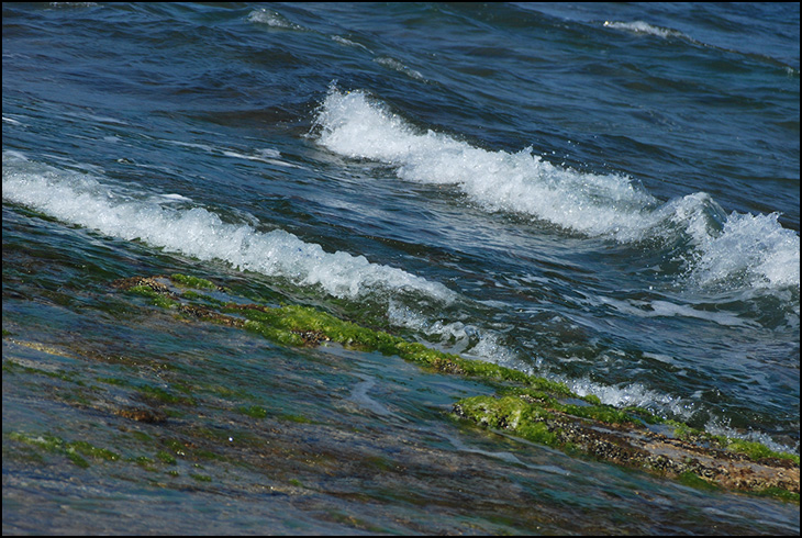 photo "Sea" tags: landscape, water