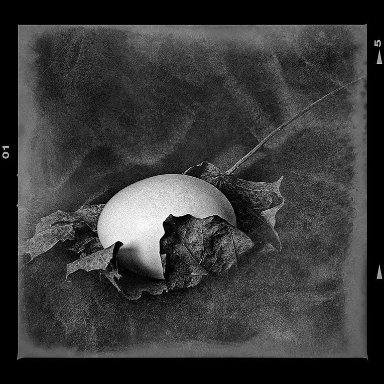 фото "Этюд с яйцом" метки: натюрморт, черно-белые, 