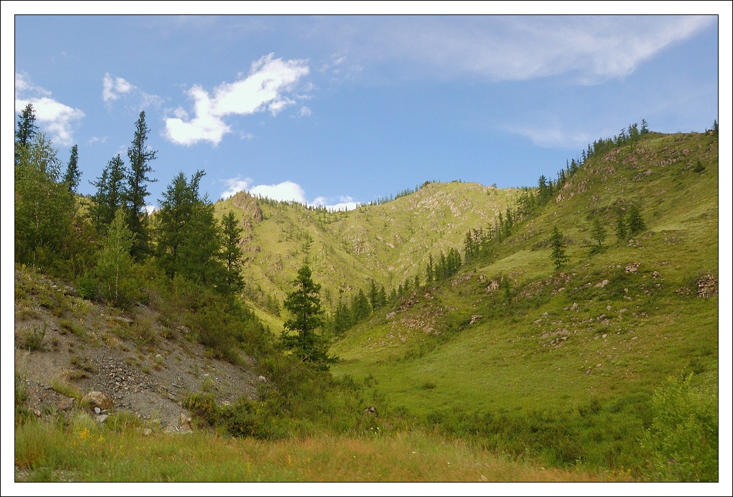 photo "Mountain landscape" tags: landscape, forest, mountains