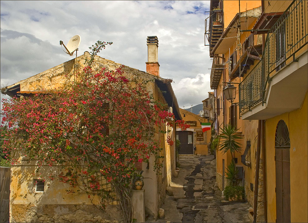 photo "Street with blooming oleander" tags: architecture, travel, landscape, Europe