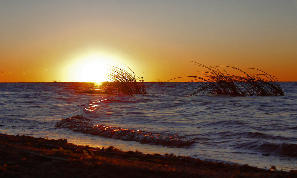 photo "Sunset in the Gulf of Finland." tags: landscape, summer, water