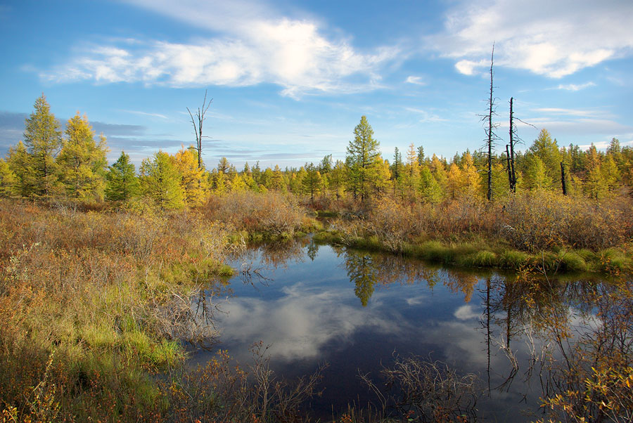 photo "***" tags: landscape, autumn, forest