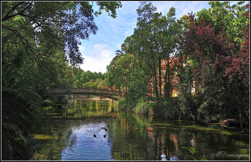 photo "For dream" tags: landscape, water