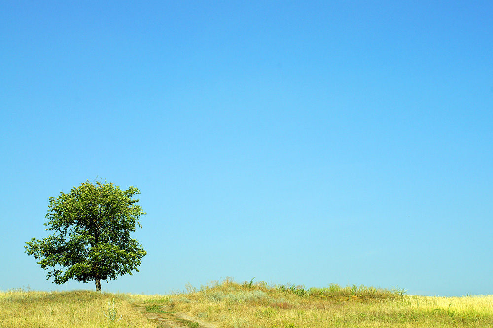 photo "пейзаж" tags: landscape, summer