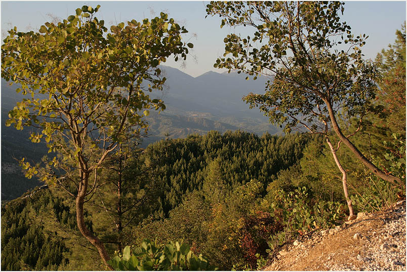 photo "The Earth" tags: landscape, summer