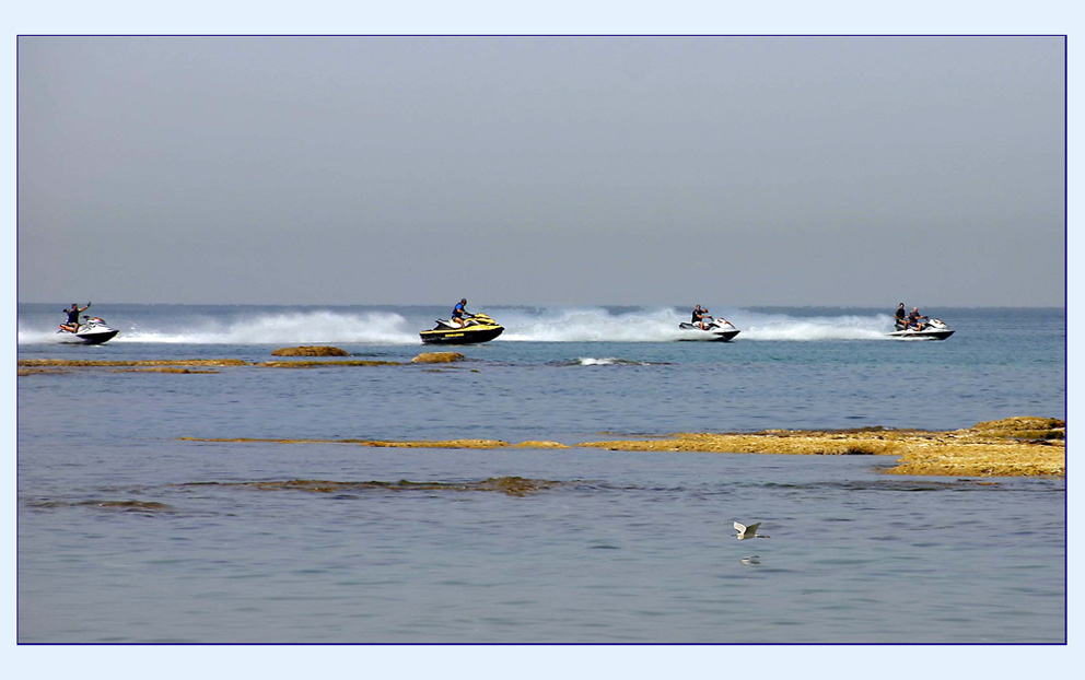 photo "flight" tags: landscape, genre, water