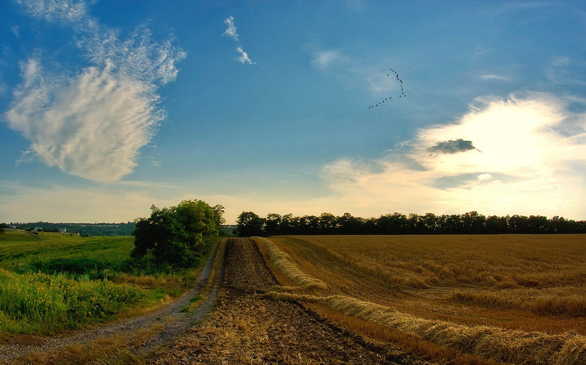 photo "***" tags: landscape, summer