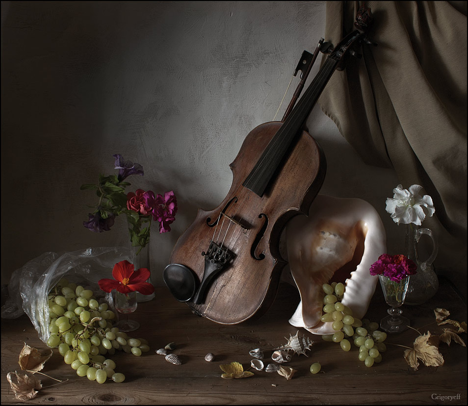 photo "Violin and shell" tags: still life, 