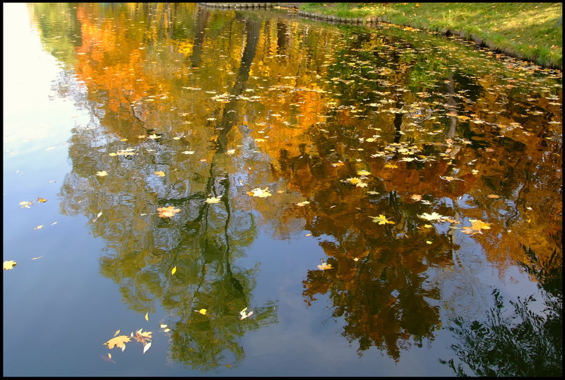 photo "***" tags: landscape, autumn, water