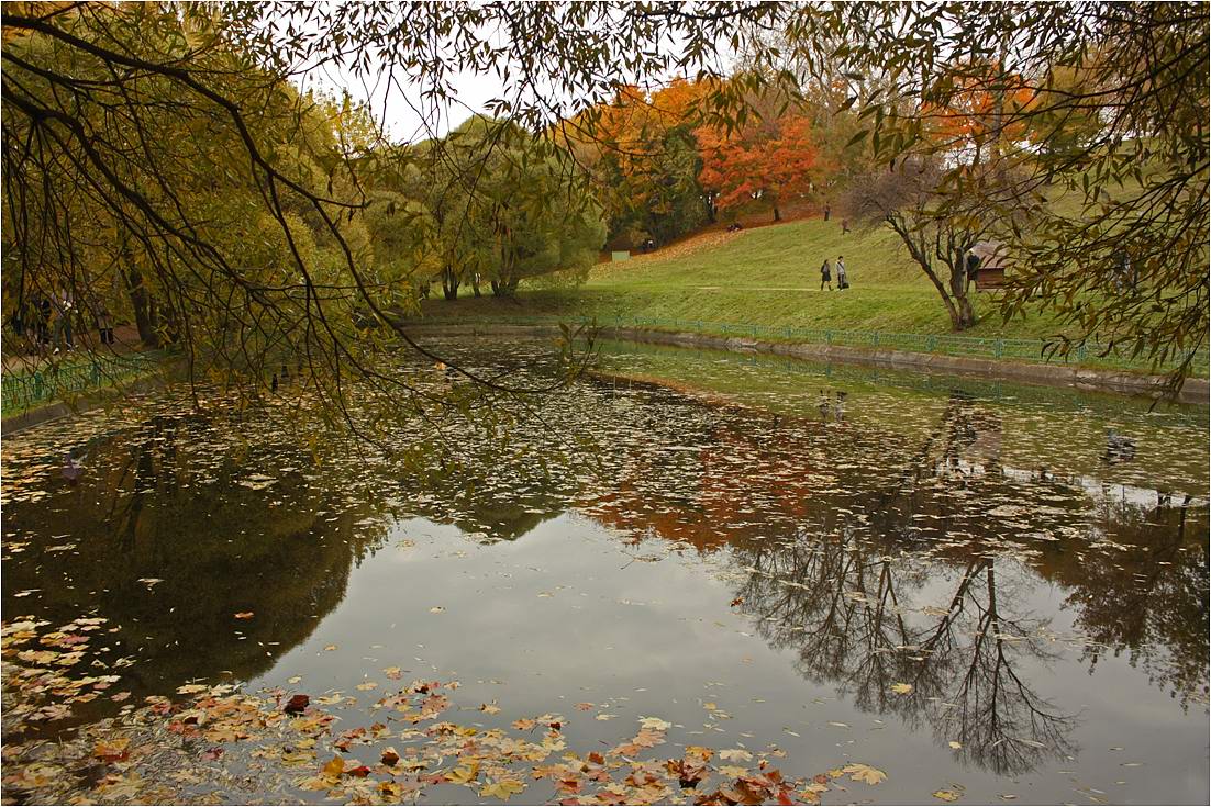 photo "***" tags: landscape, autumn