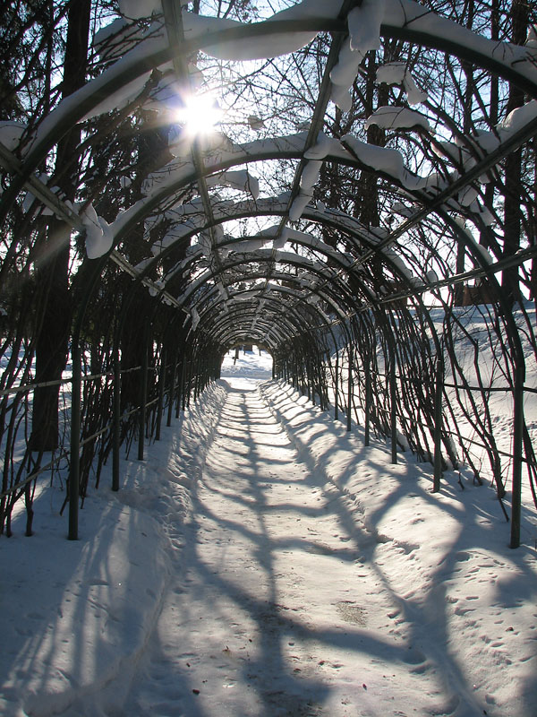 photo "***" tags: landscape, winter