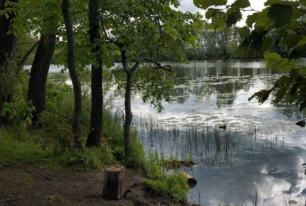 photo "A fishy place in Arkhanguelskoe" tags: landscape, water