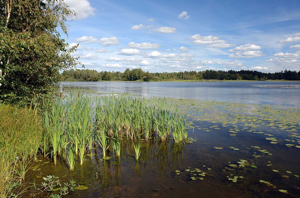 photo "***" tags: landscape, water