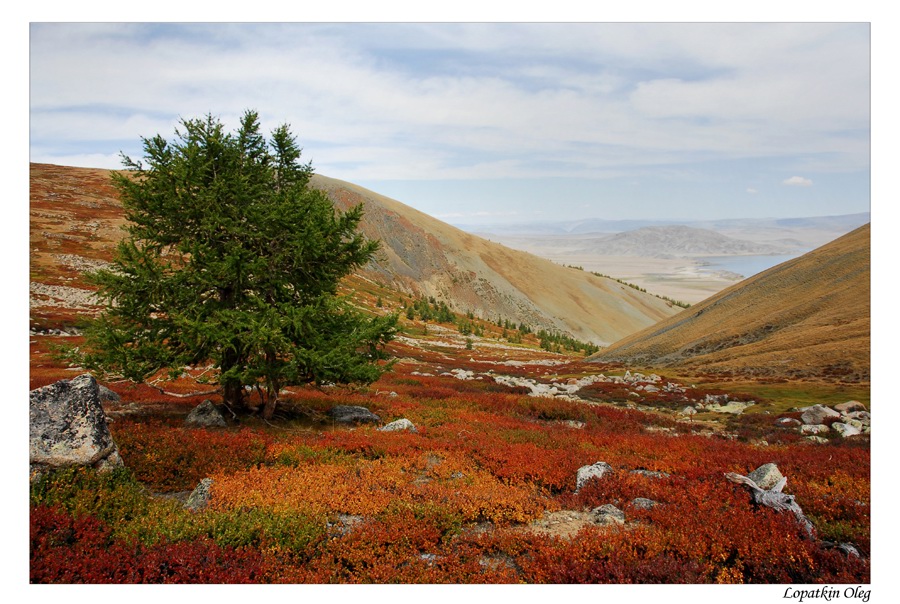 photo "Autumn colors" tags: landscape, travel, Asia, autumn