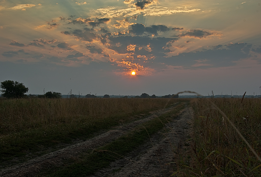 photo "Road to the sun" tags: landscape, summer, sunset