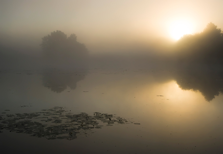 photo "***" tags: landscape, autumn