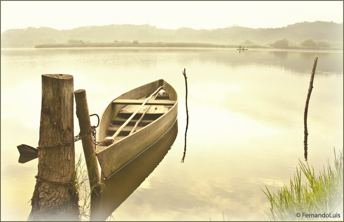 photo "Pateira de Fermentelos" tags: landscape, water