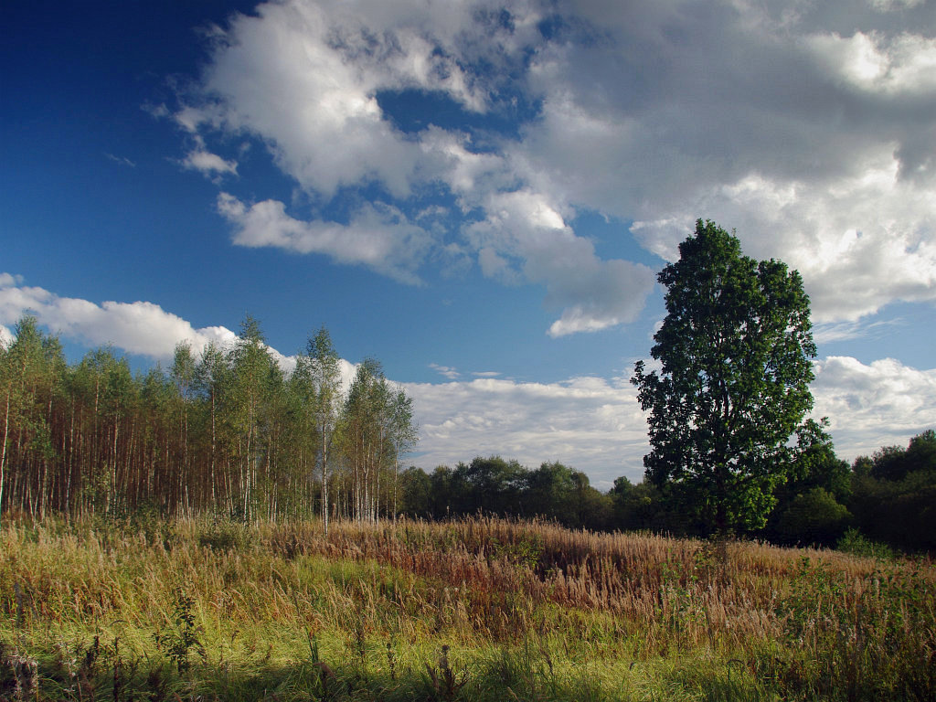 photo "Autumn Evening" tags: landscape, autumn