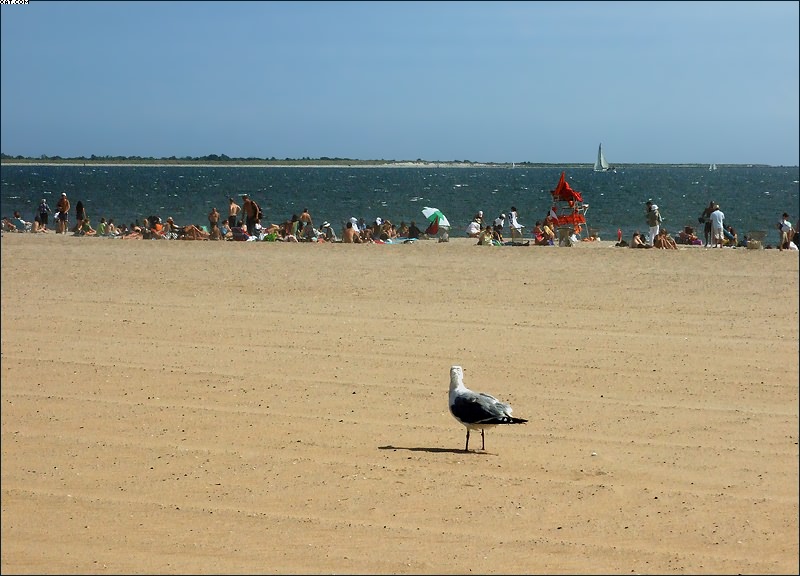photo "Beach" tags: landscape, genre, water