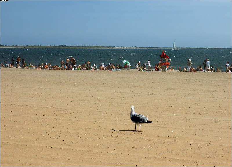 photo "Beach" tags: landscape, genre, water