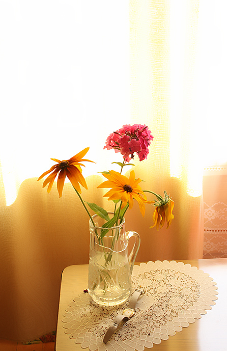 photo "last days of summer" tags: still life, 