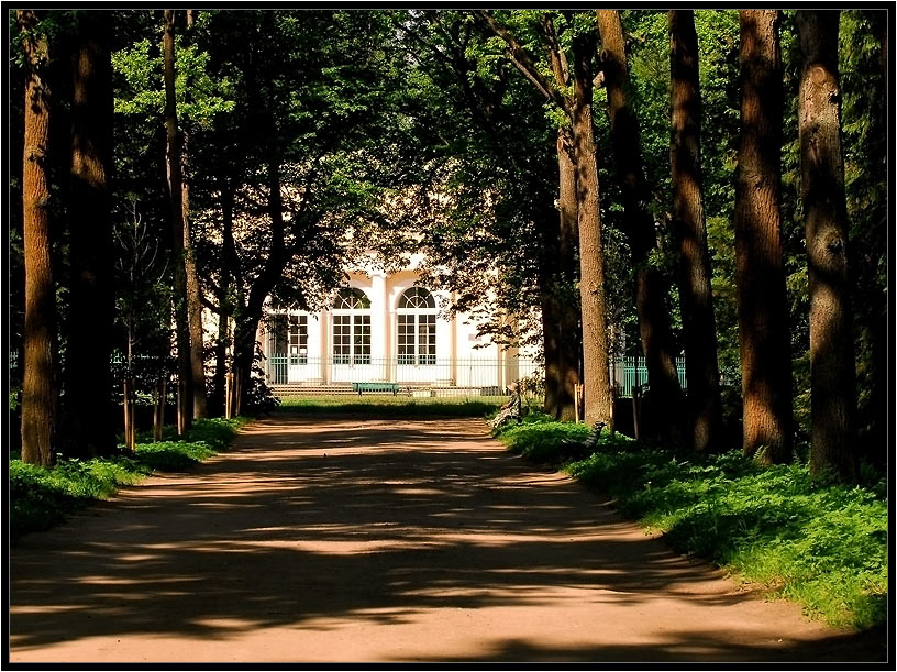 фото "тенистые аллеи Павловского парка." метки: пейзаж, архитектура, лето