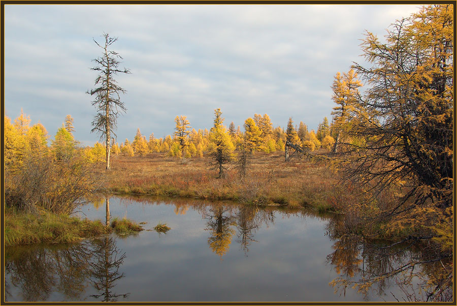 photo "***" tags: landscape, autumn, forest