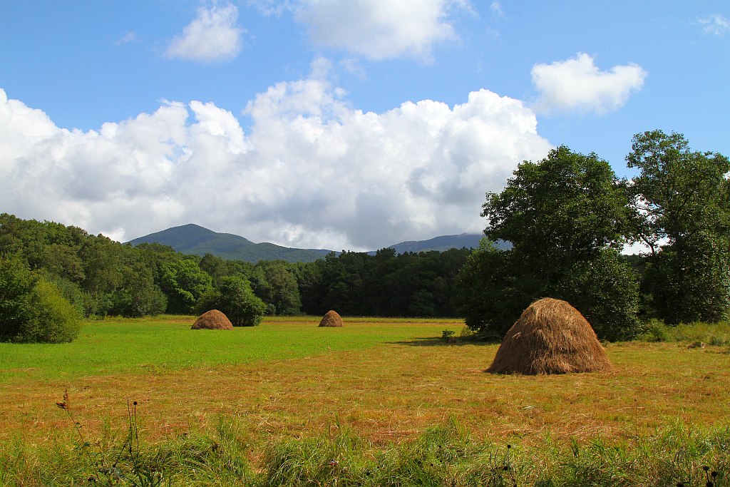 photo "***" tags: landscape, summer