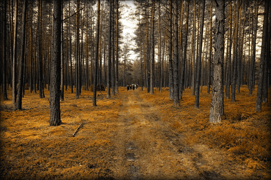 фото "****" метки: пейзаж, 