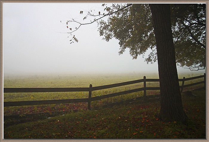 photo "Foggy Morn" tags: landscape, travel, North America, summer