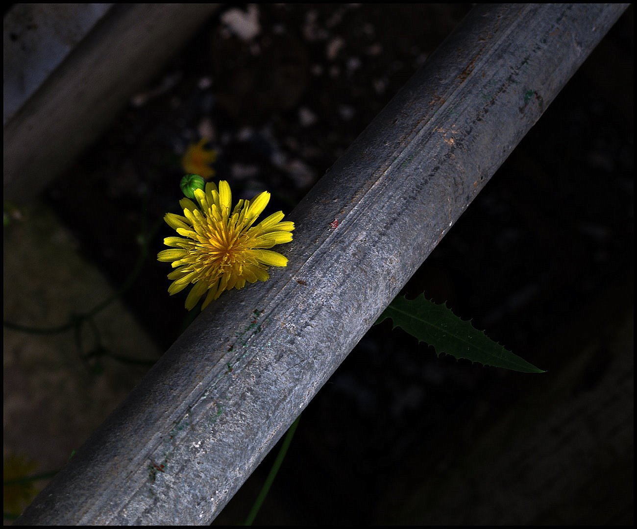 фото "***" метки: фрагмент, 