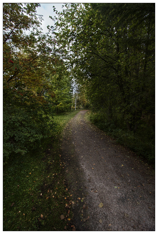 photo "Fall is coming" tags: landscape, autumn, forest