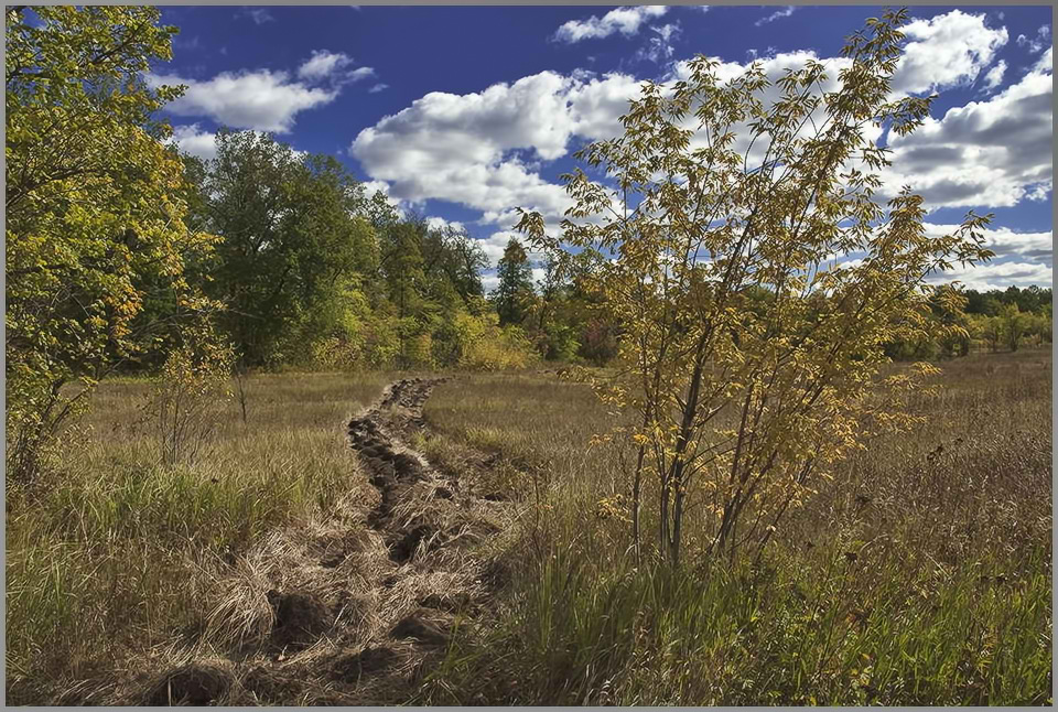 photo "***" tags: landscape, autumn