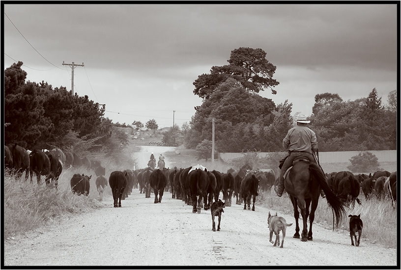 photo "Cowboys" tags: misc., travel, 