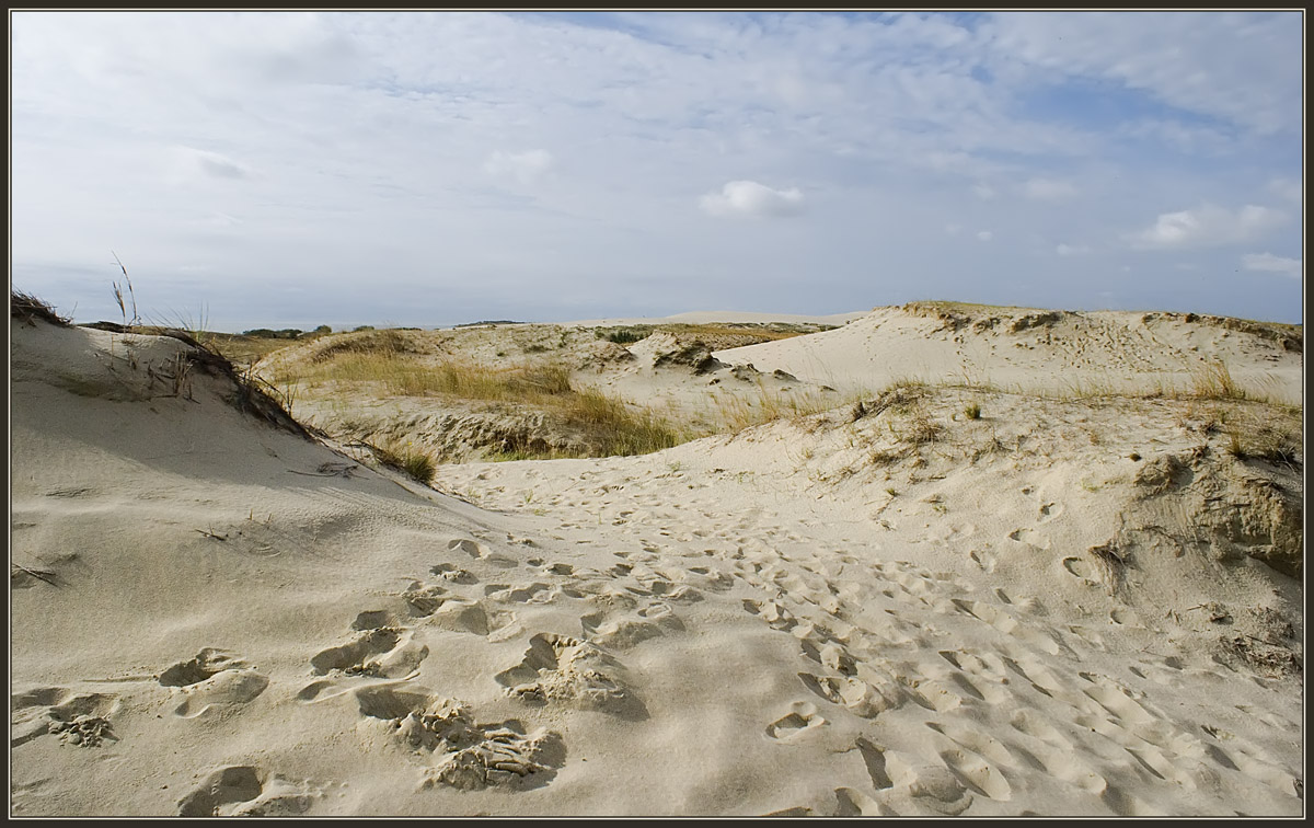 photo "Footprints in the sand" tags: landscape, misc., 